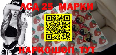 гидропоника Камышлов