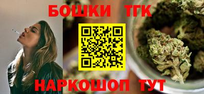 гидропоника Камышлов
