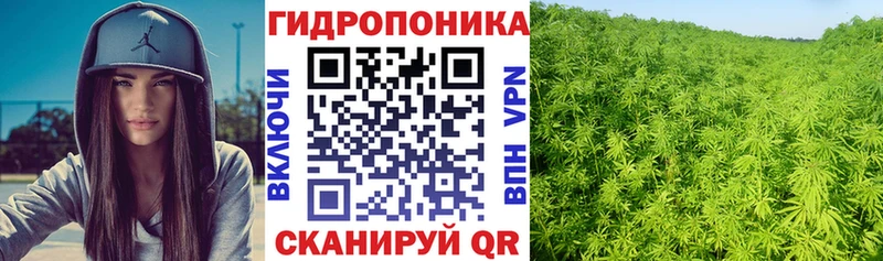 Бошки марихуана сатива Нижневартовск