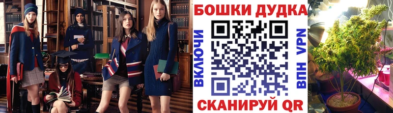 blacksprut зеркало  Нижневартовск  МАРИХУАНА индика 